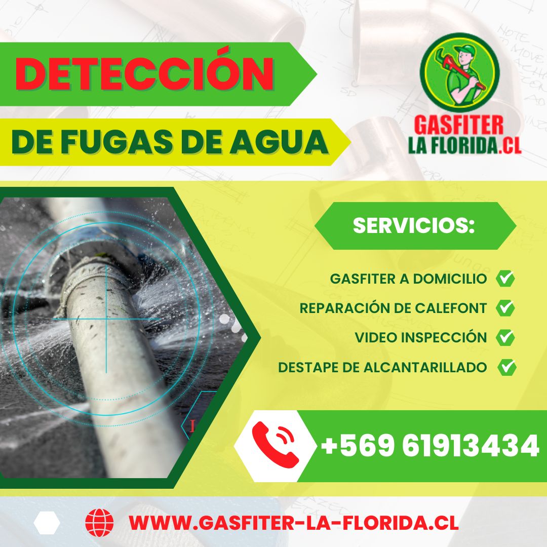 Detección de fugas de agua en redes domiciliarias