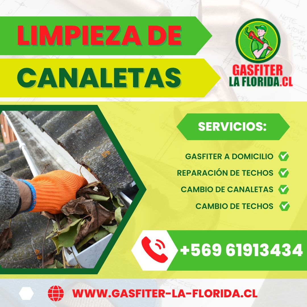 Servicio de limpieza de canaletas en techos